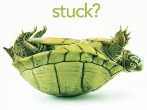 Turtle-Stuck